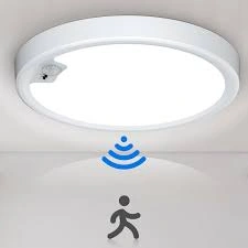 Motion Sensor Light